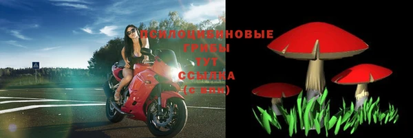 таблы Козельск