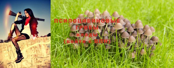 спиды Корсаков
