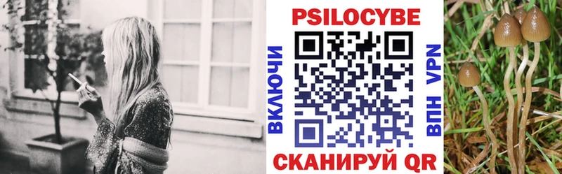 Купить закладки  Ленинск-Кузнецкий  Псилоцибиновые грибы прущие грибы 